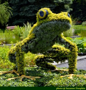 l'allégorie de la grenouille